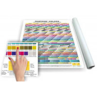 Coated Palette Pantone® Colors for Process Printing and Web Design Coated Palette Pantone® Colors for Process Printing and Web Design