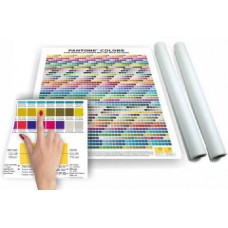 Set Coated/Uncoated Palette Pantone® Colors for Process Printing and Web Design