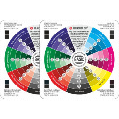 WHEEL BASIC (CMYK) C/U - Safe for offset and digital printing