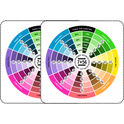WHEEL NEONS (PANTONE) C/U - 63 colors from the Pantone palette Neons